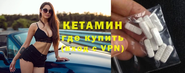 индика Вяземский
