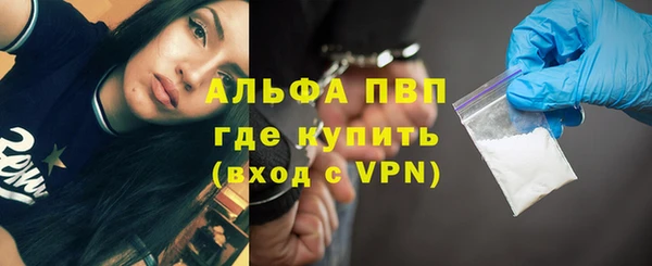 индика Вяземский