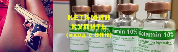 индика Вяземский