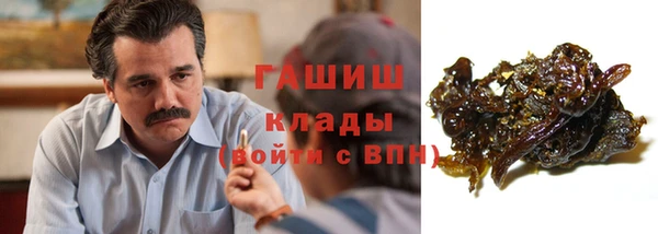 индика Вяземский