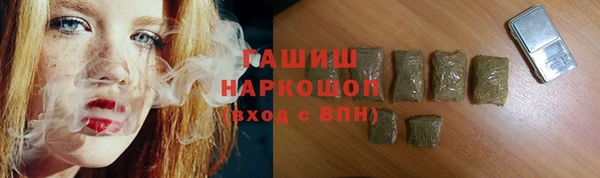 индика Вяземский