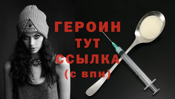 индика Вяземский
