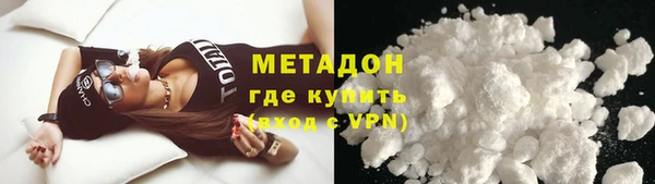 индика Вяземский