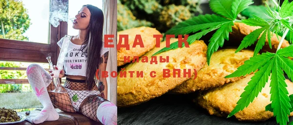 индика Вяземский