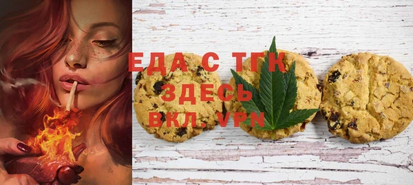 индика Вяземский