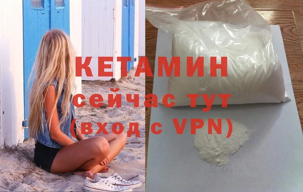 индика Вяземский