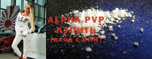 индика Вяземский