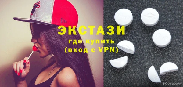 индика Вяземский