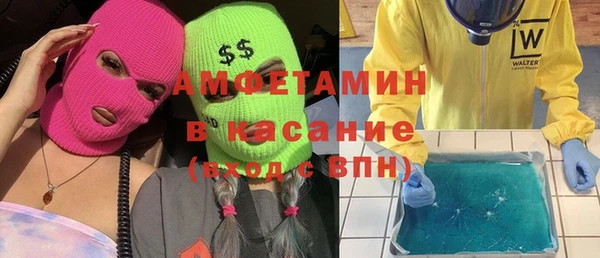 индика Вяземский
