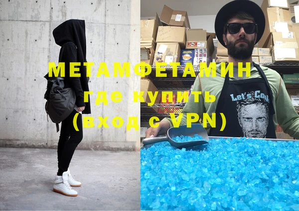 индика Вяземский