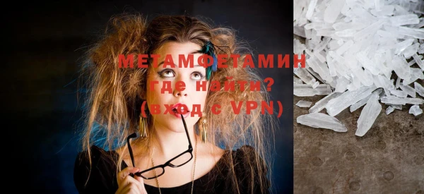 индика Вяземский
