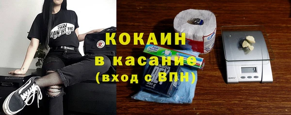 индика Вяземский