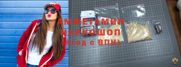 индика Вяземский