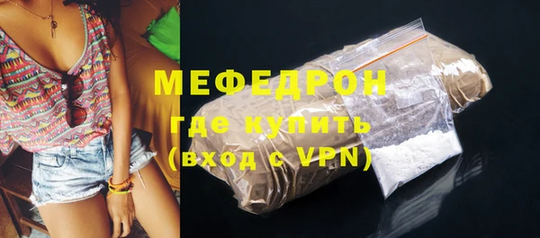 индика Вяземский